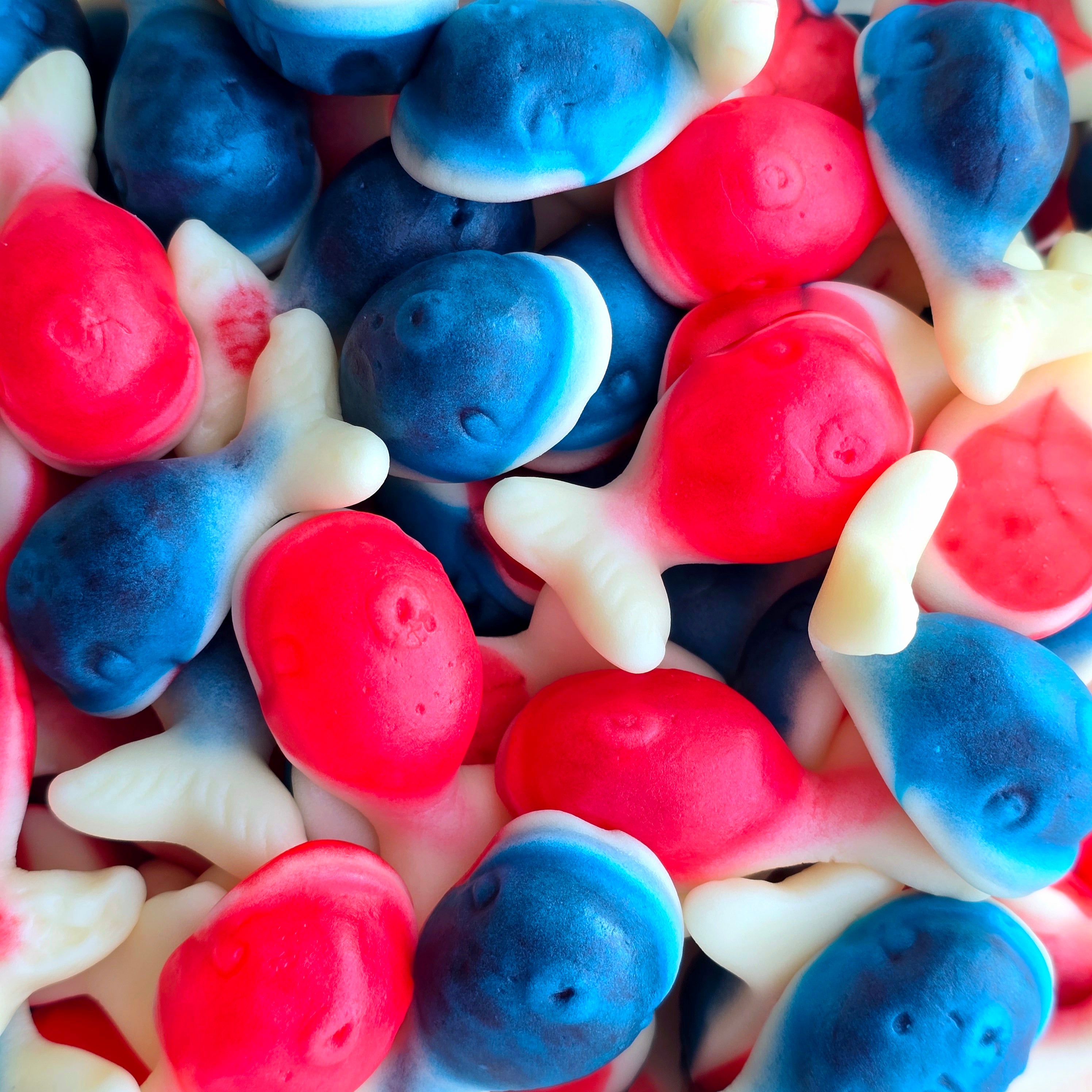 Jelly Filled Gummy Whales - Pik n Mix Lollies NZ