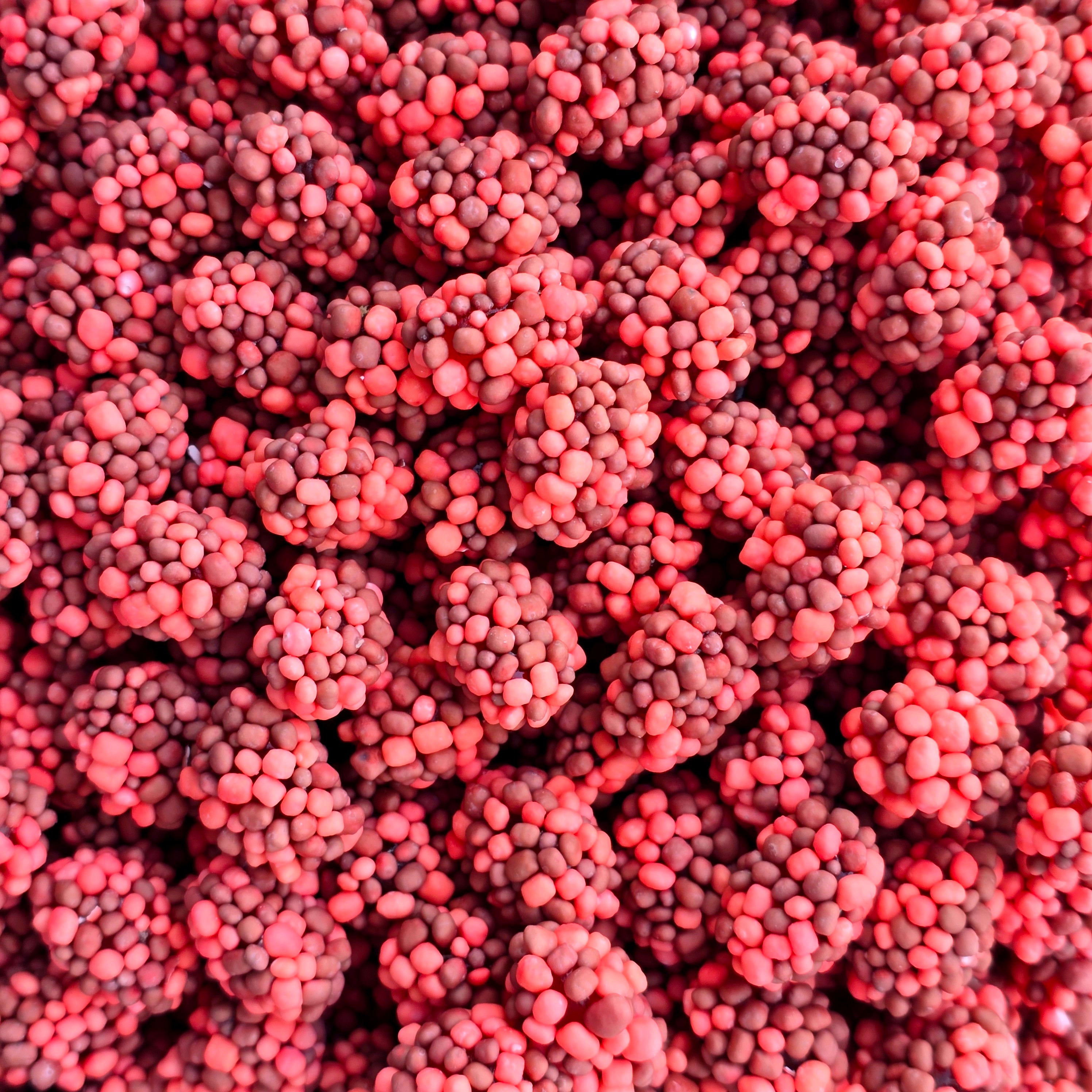 Crunchy Clusters - Strawberry - Pik n Mix Lollies NZ