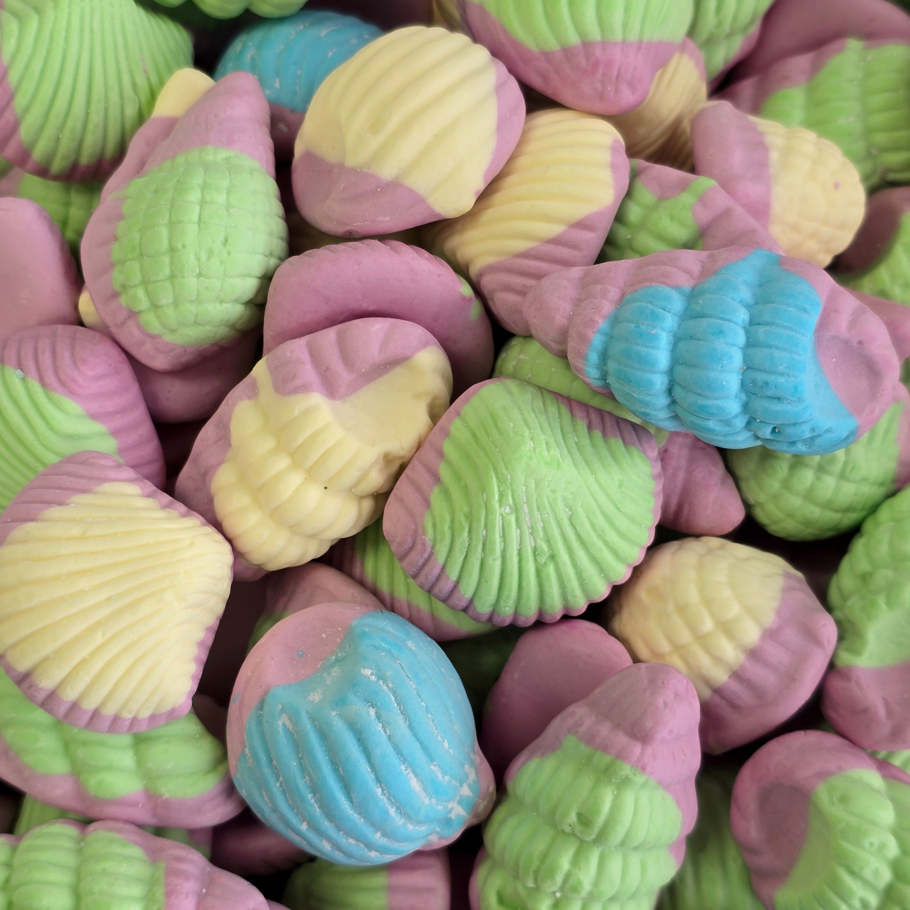 Sea Shells
