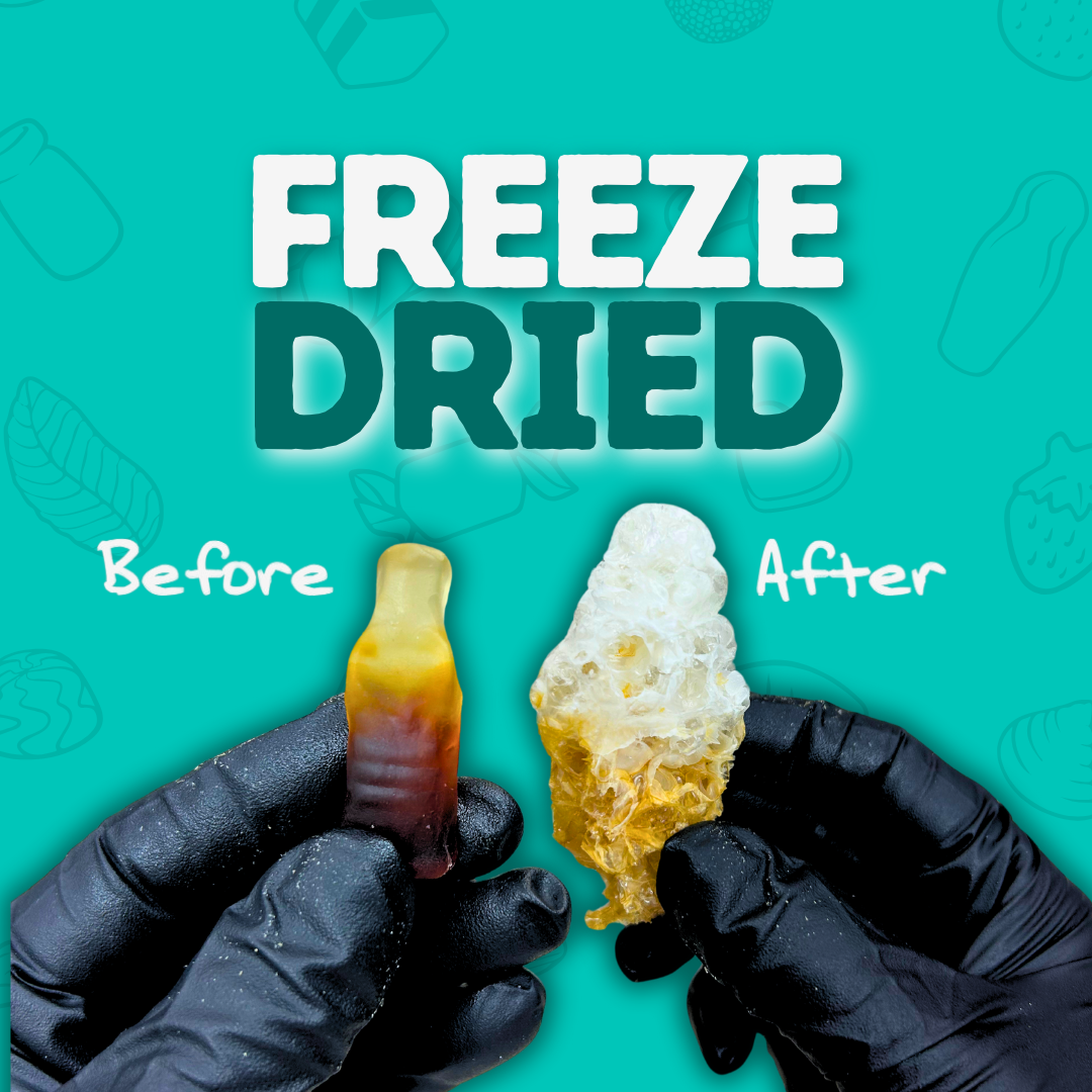 Freeze Dried