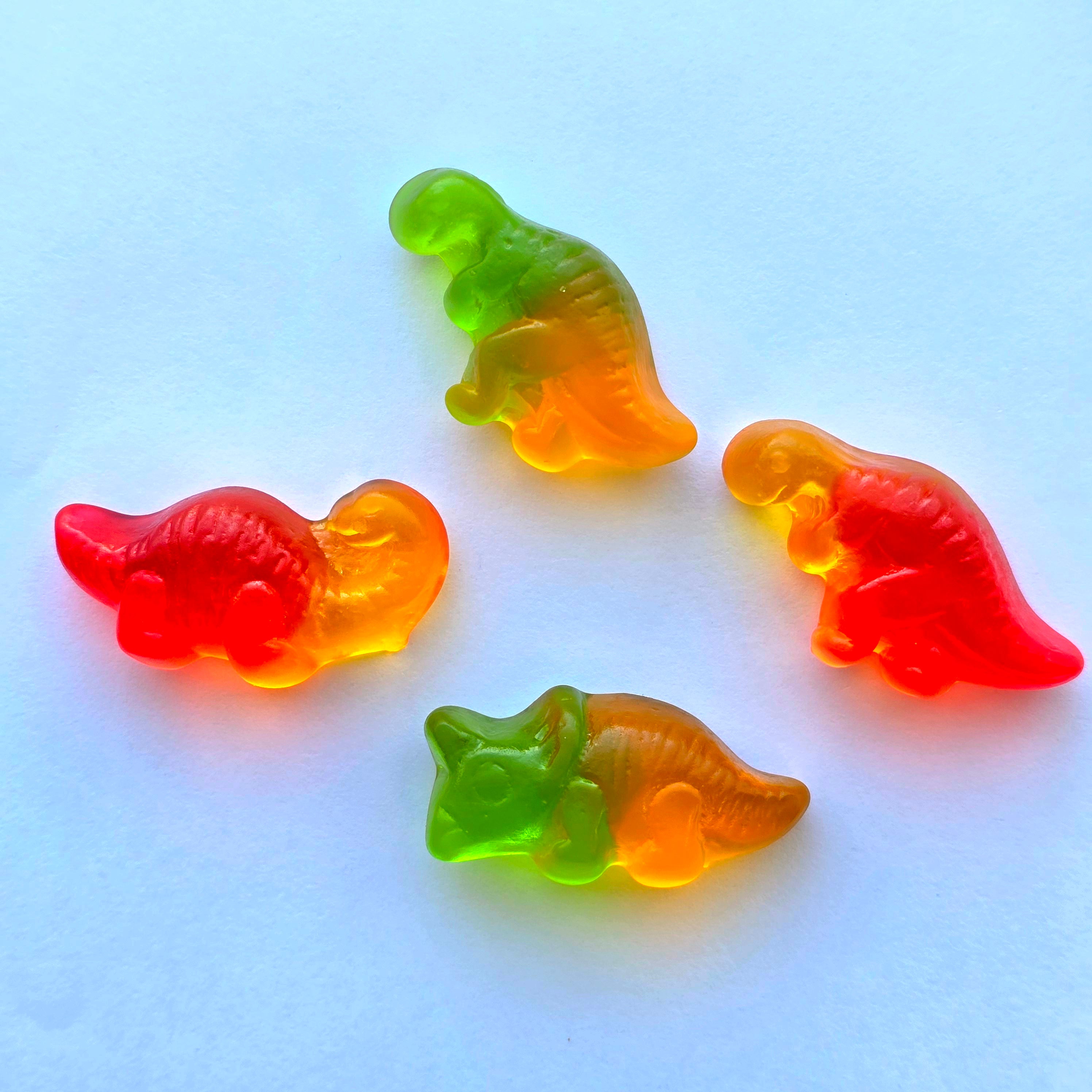 Dinosaur Gummy Candy Bag