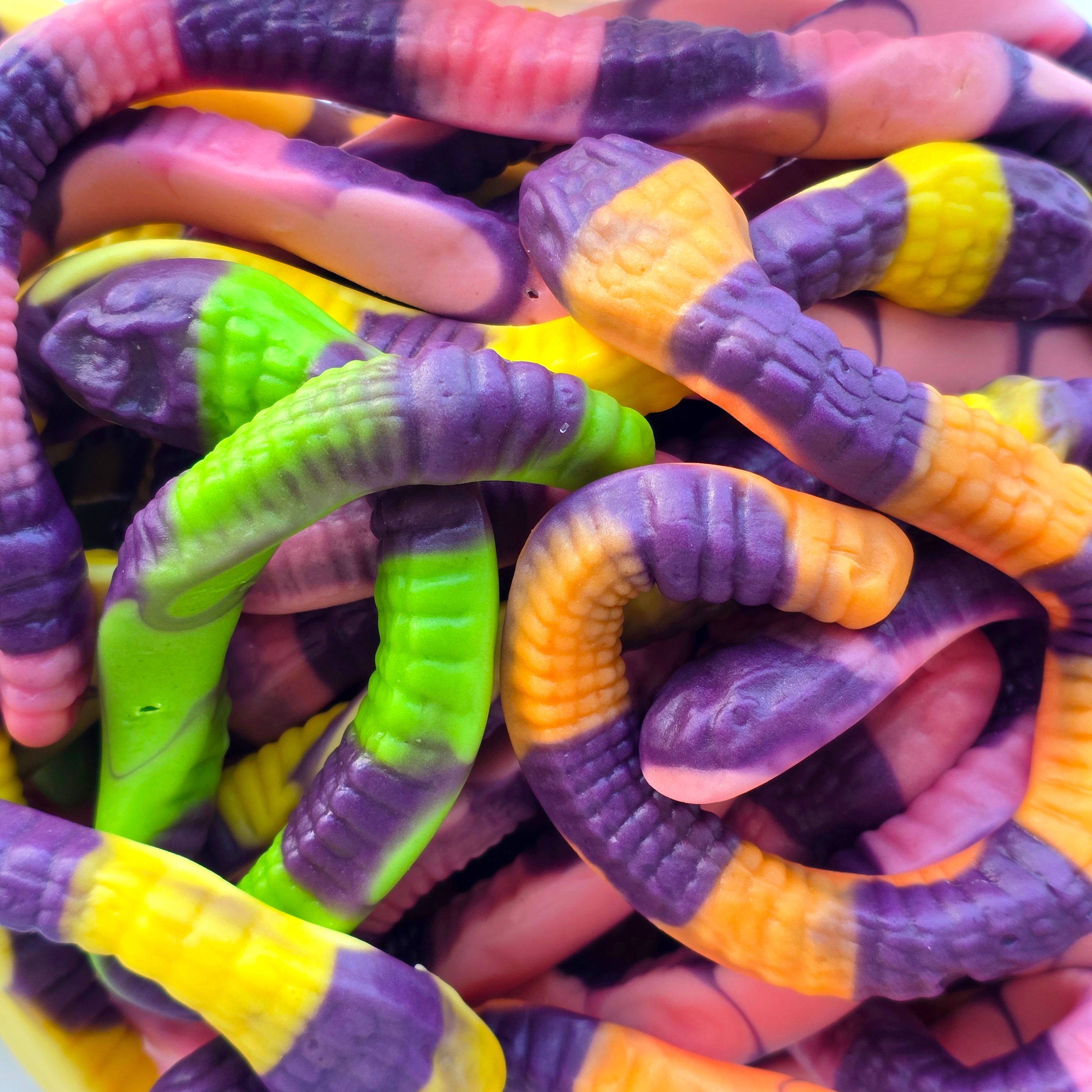 Anaconda Snakes