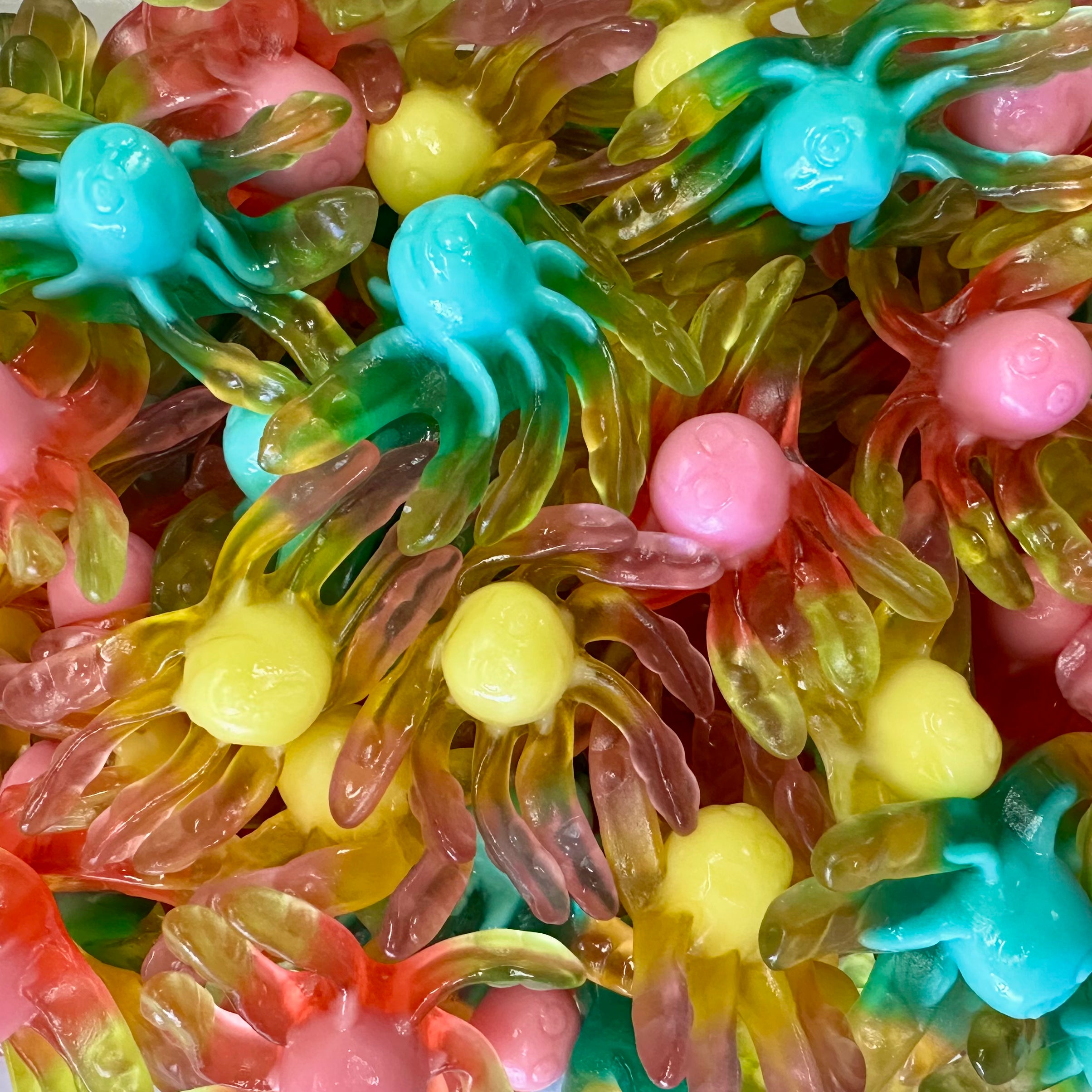 Gummy Octopus